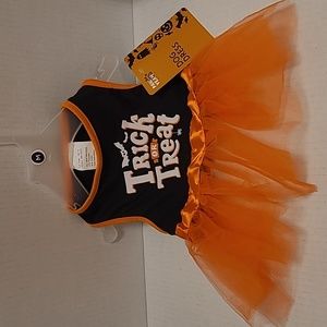 NWT Adorable Halloween Dog Dress